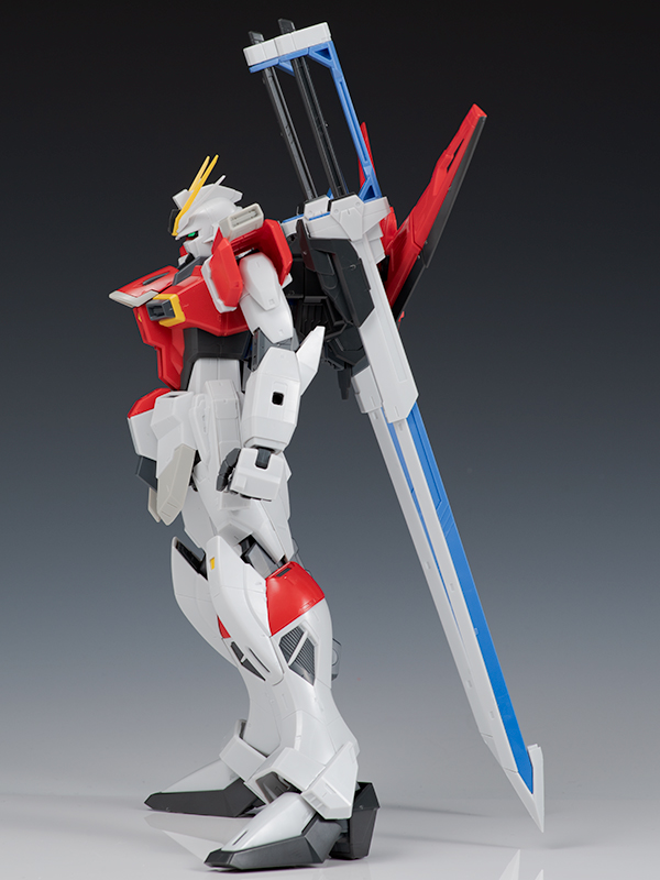[MG] 1/100 �ҵ� ���޽� �Ǵ� [2���԰��Ϸ�] [4573102641182]