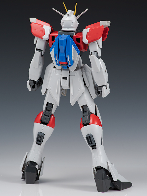 [MG] 1/100 �ҵ� ���޽� �Ǵ� [2���԰��Ϸ�] [4573102641182]