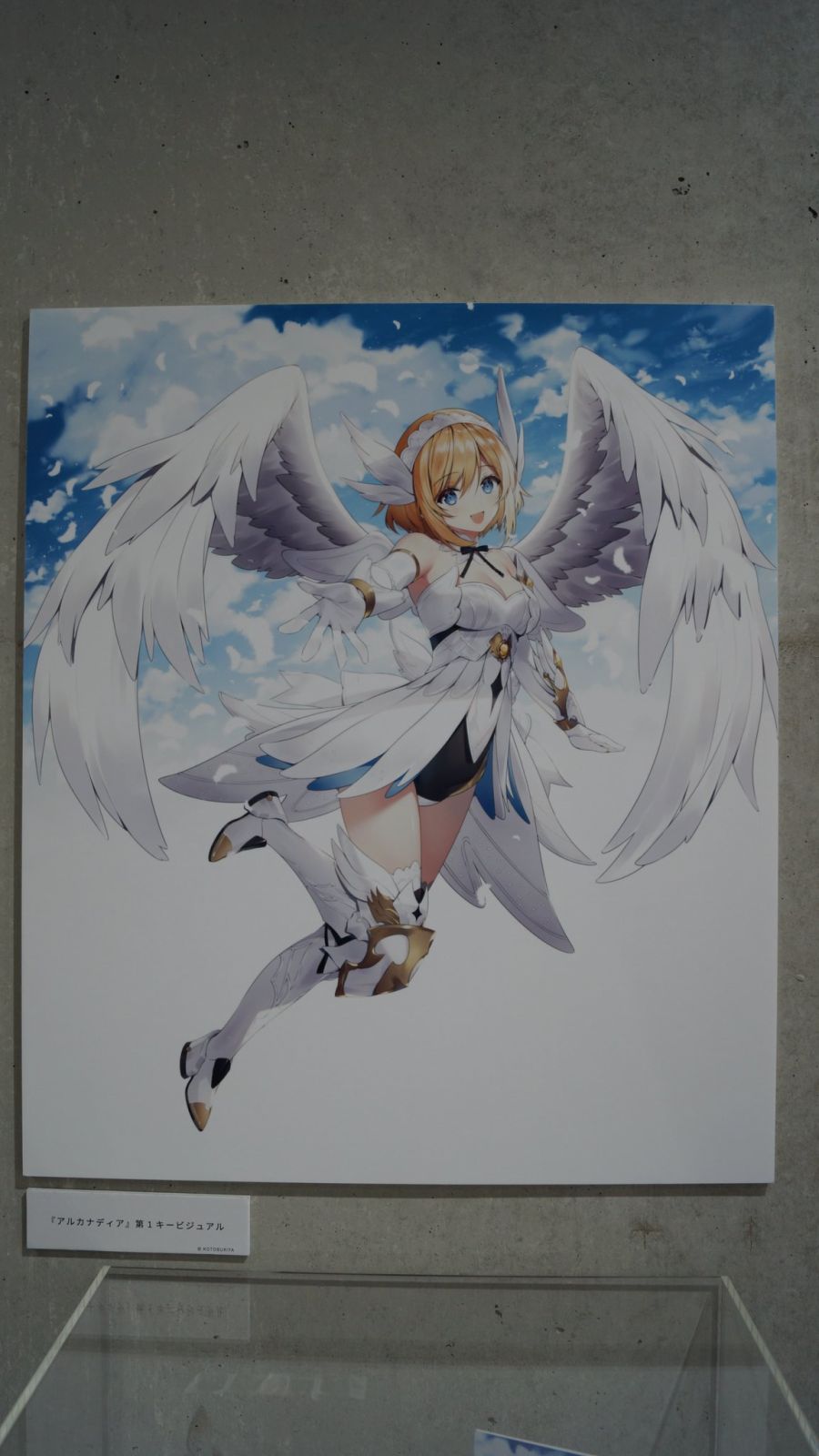 [�Ƹ�ī�����] ���Ƽ�� [3���԰��Ϸ�][4934054038190]