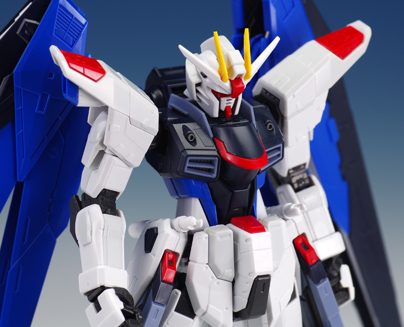 [RG 05] 1/144 ������ �Ǵ� [8���԰��Ϸ�] [4573102616142]