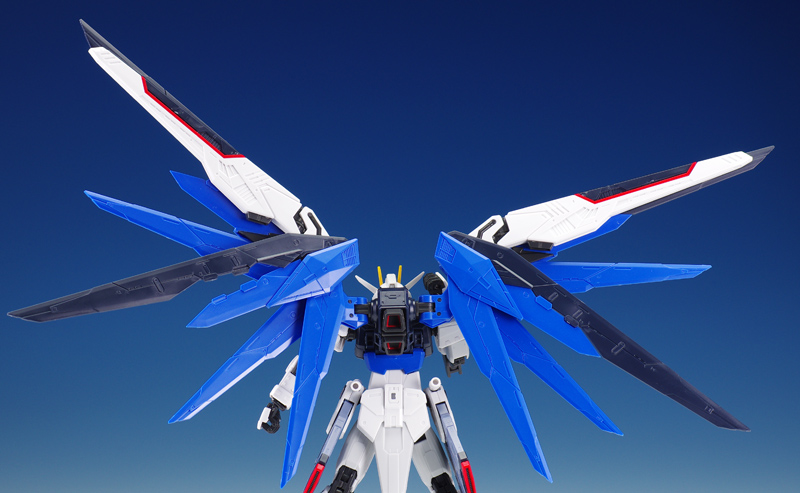 [RG 05] 1/144 ������ �Ǵ� [8���԰��Ϸ�] [4573102616142]