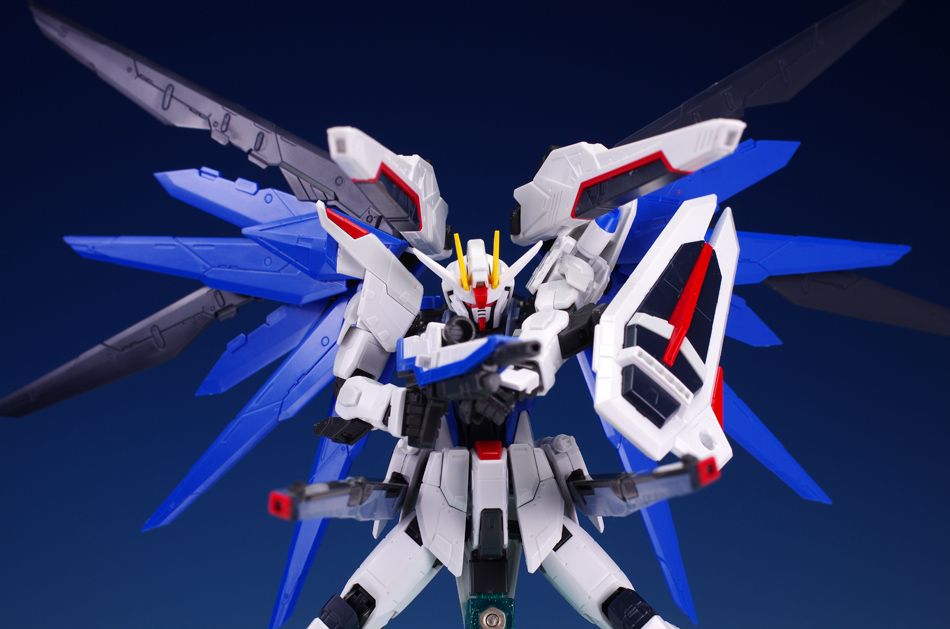 [RG 05] 1/144 ������ �Ǵ� [8���԰��Ϸ�] [4573102616142]