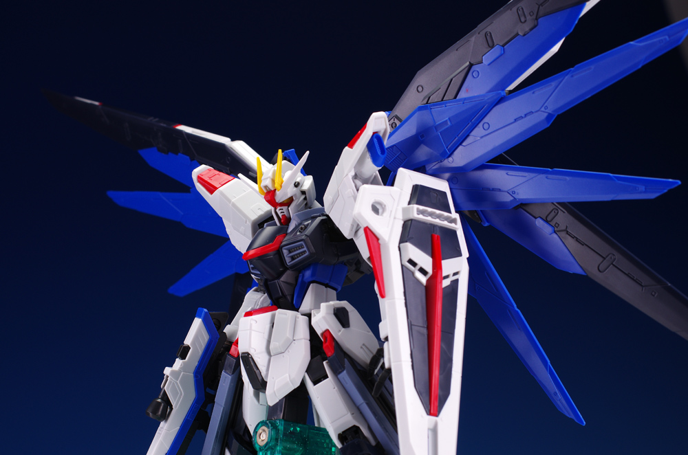 [RG 05] 1/144 ������ �Ǵ� [8���԰��Ϸ�] [4573102616142]