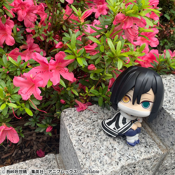 [���] �͸��� Į�� - �̱��� ���ٳ��� [2���԰��Ϸ�] [4535123845642]