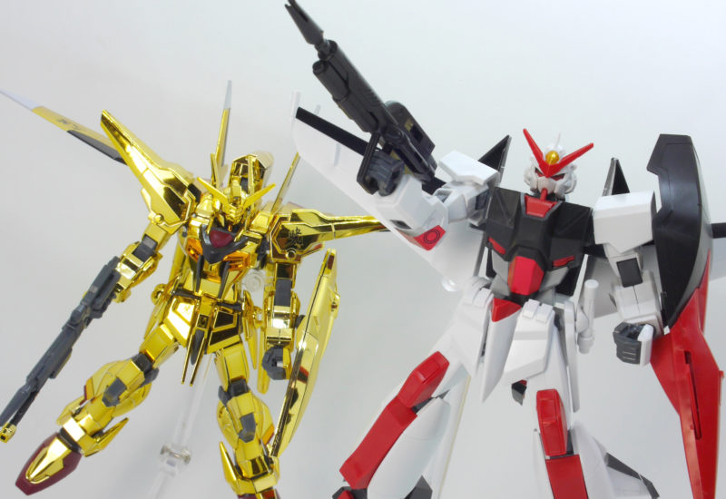 [HG 40] 1/144 �����ͽ� ��ī��Ű �Ǵ� [8���԰��Ϸ�][4573102603654]