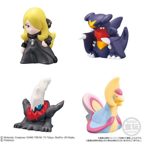 ���ϸ��� Ű�� �ſ� ����&���� ���� ��(1�ڽ�24����) [12���԰��Ϸ�] [4549660627746]