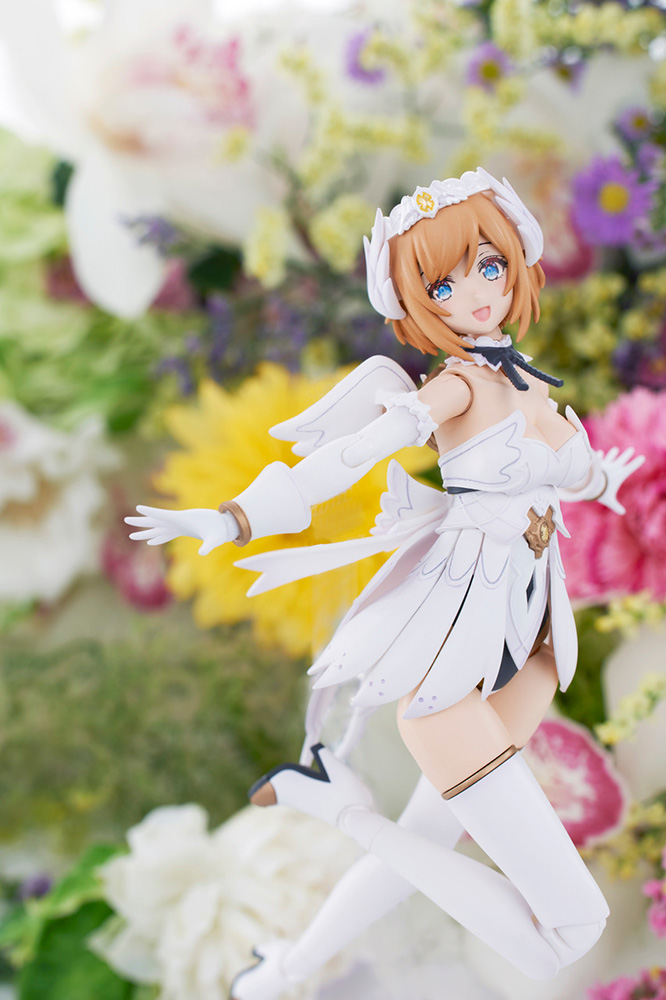 [�Ƹ�ī�����] ���Ƽ�� [3���԰��Ϸ�][4934054038190]