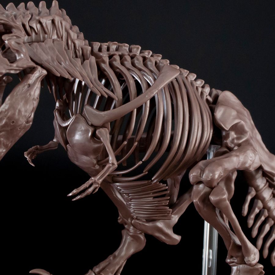 1/32 Imaginary Skeleton Ƽ�����罺 [2���԰��Ϸ�] [4573102618009]