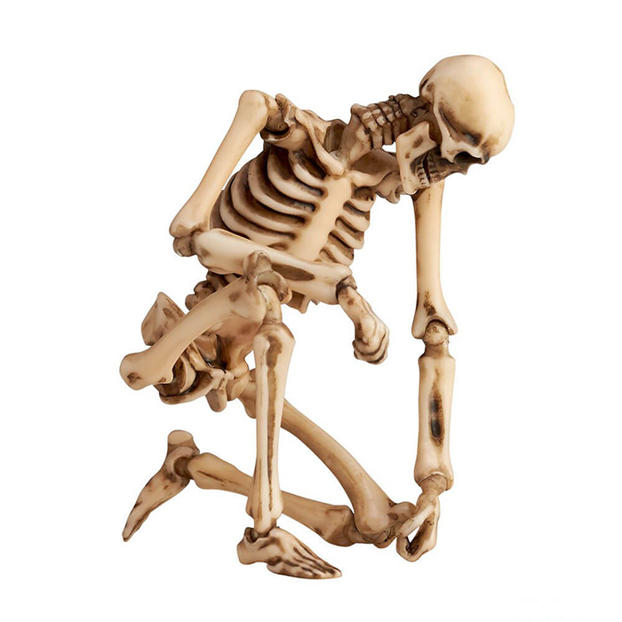 miniQ �̴���� ť�� �ذ�� �÷��� ������(1�ڽ�8����) [8���԰��Ϸ�] [4537807022257]