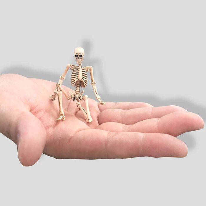 miniQ �̴���� ť�� �ذ�� �÷��� ������(1�ڽ�8����) [8���԰��Ϸ�] [4537807022257]