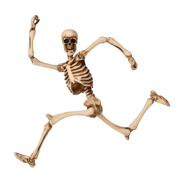 miniQ �̴���� ť�� �ذ�� �÷��� ������(1�ڽ�8����) [8���԰��Ϸ�] [4537807022257]