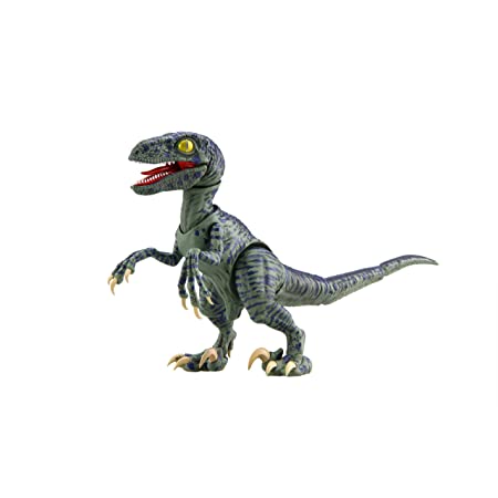 �������� �ø��� ������ - ����Ű���丣 [8���԰��Ϸ�] [4968728170794]