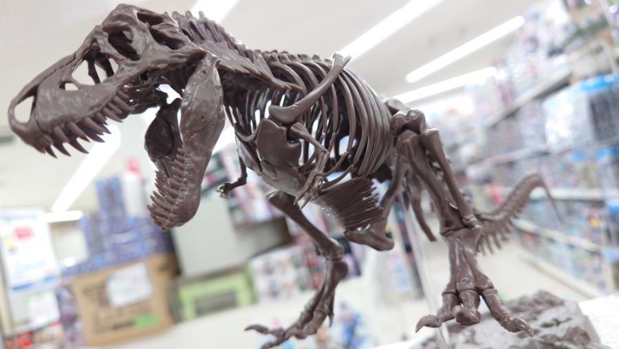 1/32 Imaginary Skeleton Ƽ�����罺 [2���԰��Ϸ�] [4573102618009]