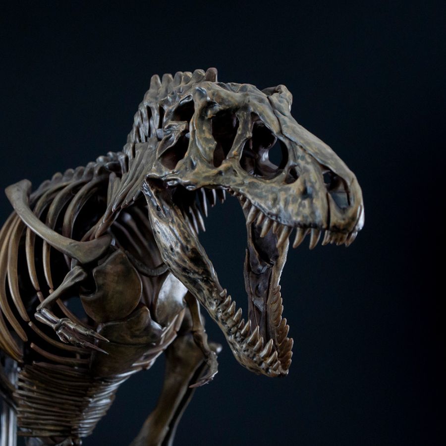 1/32 Imaginary Skeleton Ƽ�����罺 [2���԰��Ϸ�] [4573102618009]