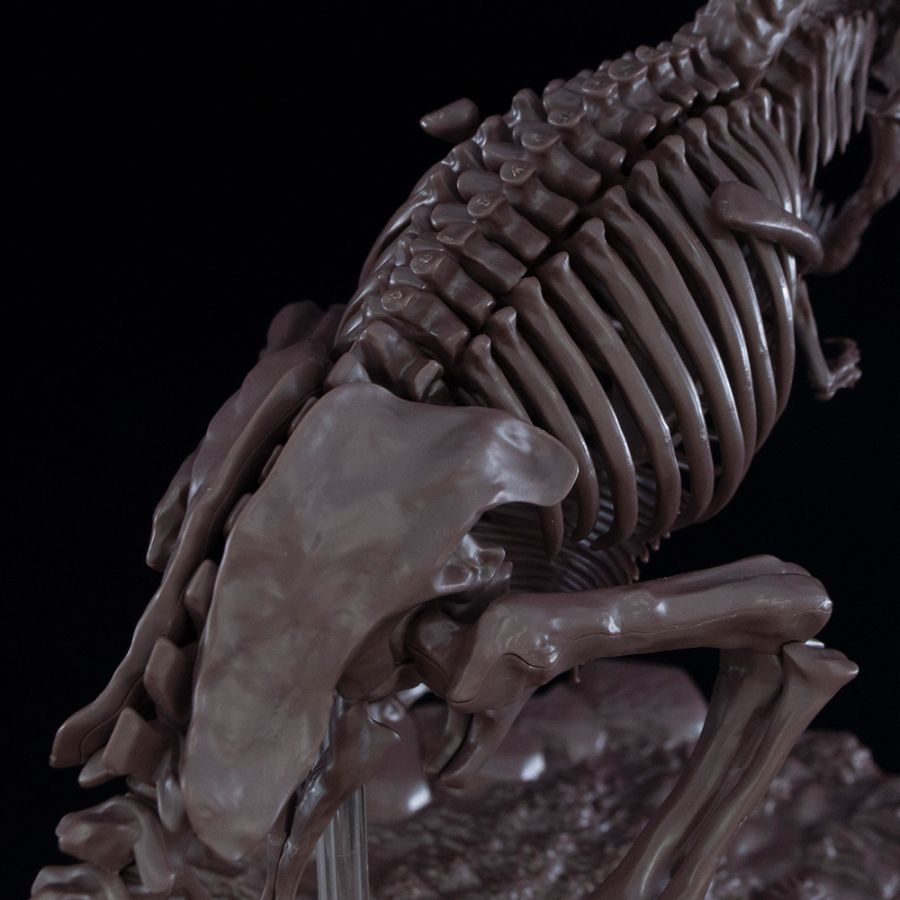 1/32 Imaginary Skeleton Ƽ�����罺 [2���԰��Ϸ�] [4573102618009]