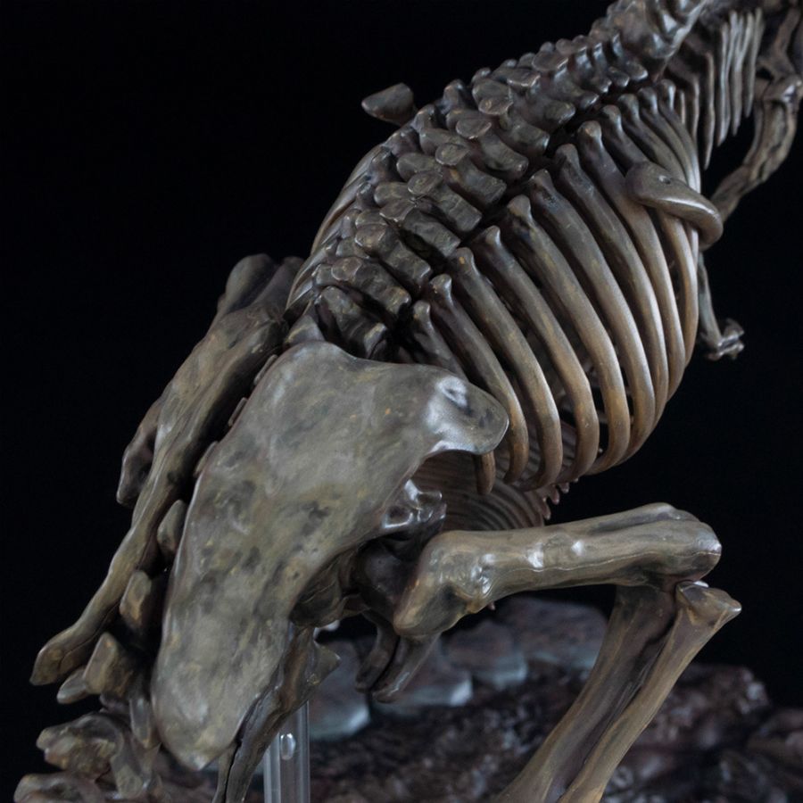 1/32 Imaginary Skeleton Ƽ�����罺 [2���԰��Ϸ�] [4573102618009]