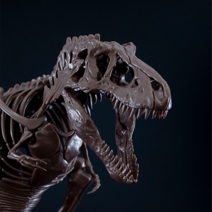 1/32 Imaginary Skeleton Ƽ�����罺 [2���԰��Ϸ�] [4573102618009]