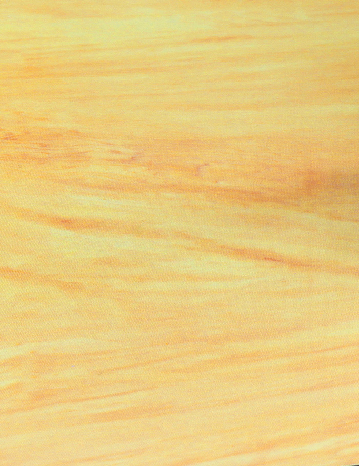 TF944 ��� �ǴϽ�(������) [4967834719446]