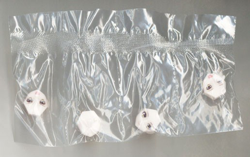 �� ��ü �ø��� 1ź ��ü ��Ʈ���� [6���԰��Ϸ�] [4905083058084]