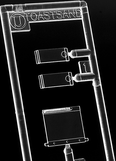 1/12 ��Ʈ�� ���Ǳ�(�佺Ʈ ����) [2���԰��Ϸ�] [4967834622012]