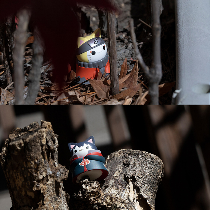 �ķ���! ������ ��ǳ�� - ��ī��Ű�� ���� ���! ������ ���� ������ ���� ��!(1�ڽ�8����) [4535123847264]