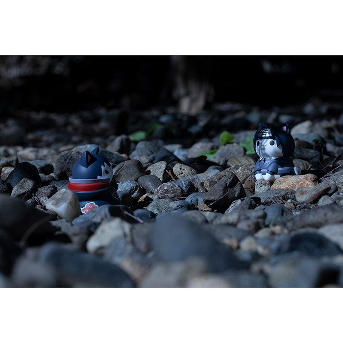 �ķ���! ������ ��ǳ�� - ��ī��Ű�� ���� ���! ������ ���� ������ ���� ��!(1�ڽ�8����) [4535123847264]