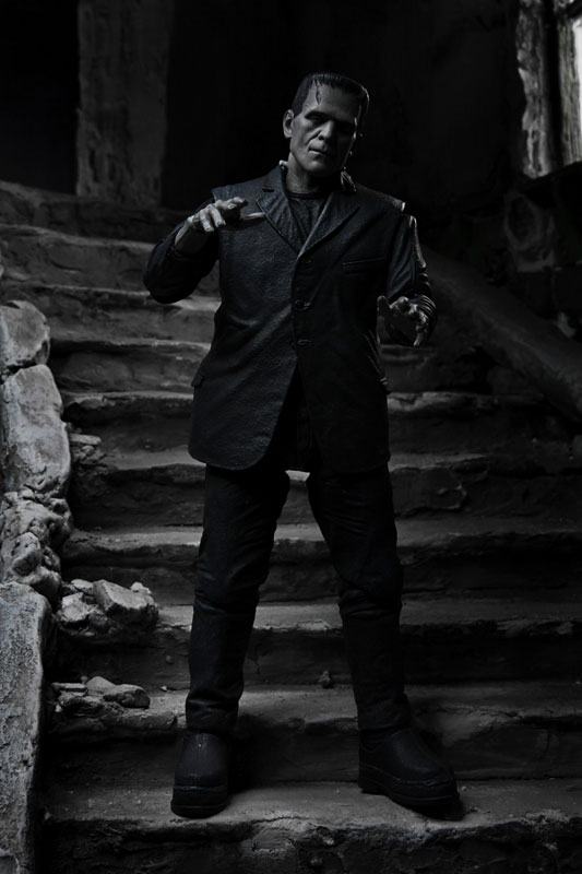 �����˽�Ÿ�� ���� ��Ƽ�� 7��ġ �׼� �ǱԾ� [9���԰��Ϸ�] [4580017819704]