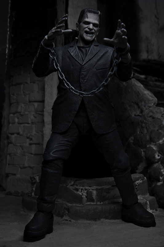 �����˽�Ÿ�� ���� ��Ƽ�� 7��ġ �׼� �ǱԾ� [9���԰��Ϸ�] [4580017819704]