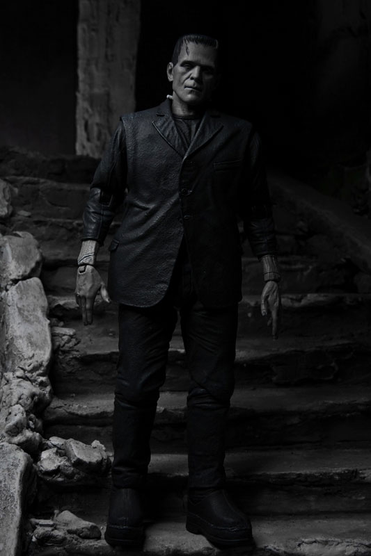 �����˽�Ÿ�� ���� ��Ƽ�� 7��ġ �׼� �ǱԾ� [9���԰��Ϸ�] [4580017819704]