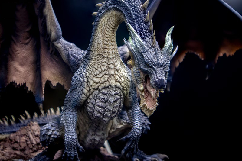 CFB ���� ���� - ��� �ж󺸷��ƽ� [7���԰��Ϸ�] [4976219120487]