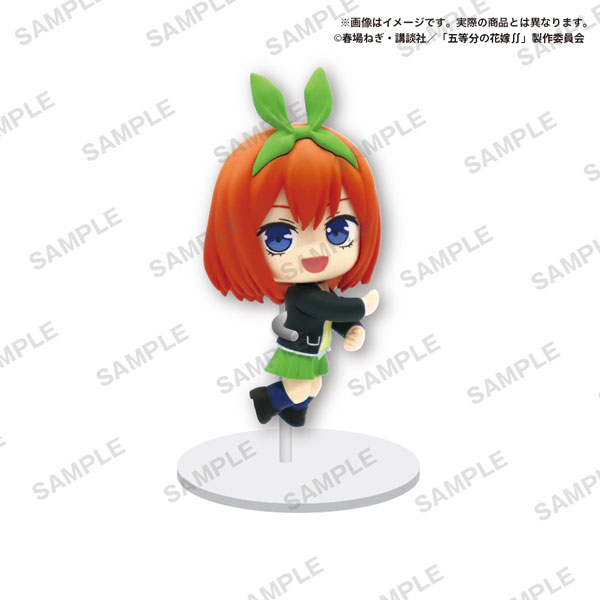 5����� �źΡ� ������ ���̺� ������Ʈ RICH(1�ڽ�8����)  [4582520202639]