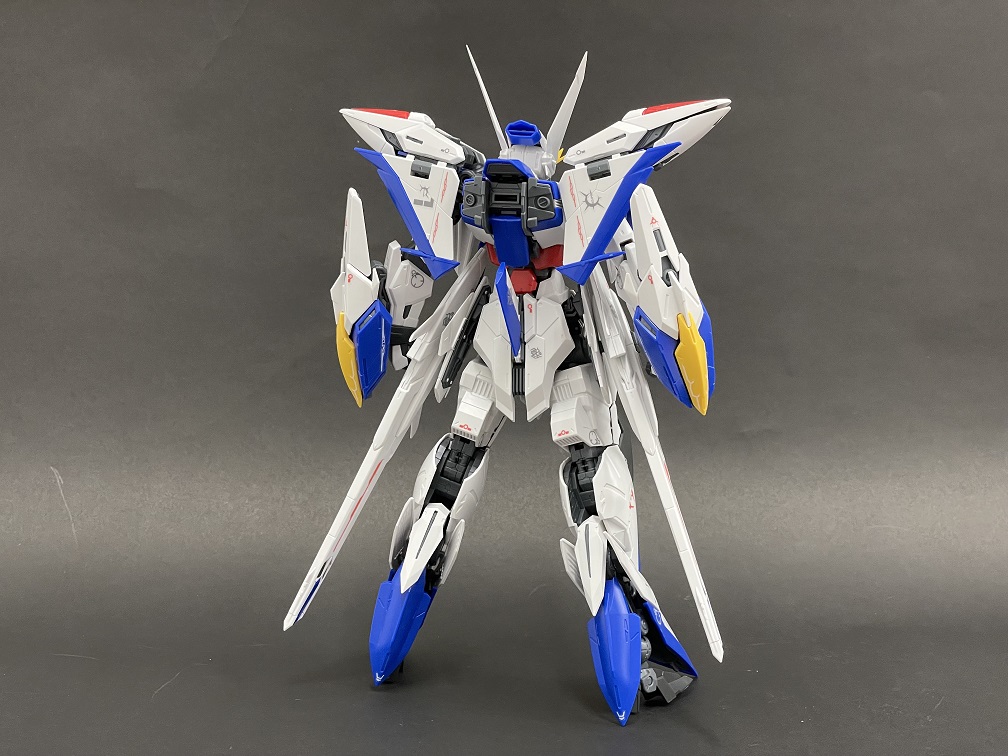 [MG] 1/100 ��Ŭ���� �Ǵ� [2���԰��Ϸ�] [4573102619198]