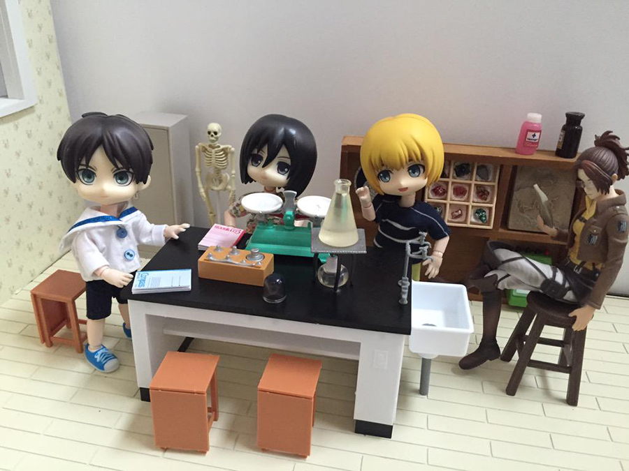 1/12 �Ǽ��縮 �ø��� ���н� å��� ���� [12���԰��Ϸ�] [4967834620049]