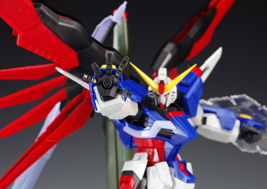 [RG 11] 1/144 ����Ƽ�� �Ǵ� [8���԰��Ϸ�] [4573102616166]