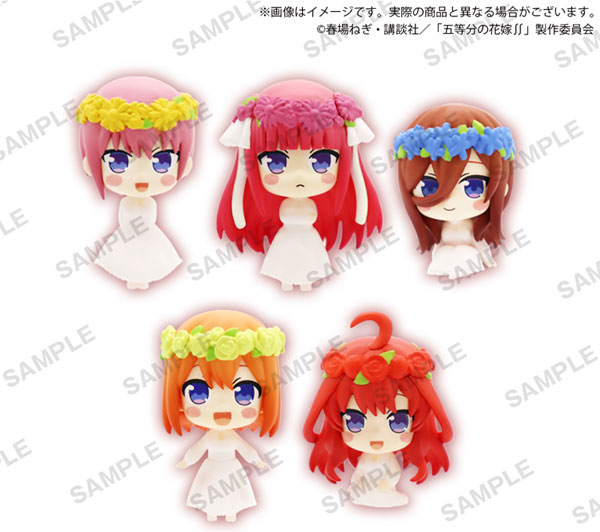 5����� �źΡ� �ݷ��� �ǱԾ�(1�ڽ�6����) [3���԰��Ϸ�] [4582520218364]