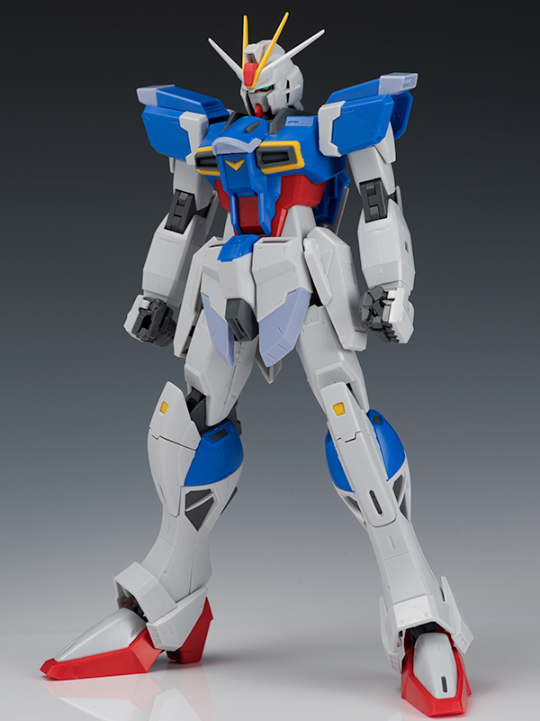 [MG] 1/100 ���� ���޽� �Ǵ� [8���԰��Ϸ�][4573102630407]