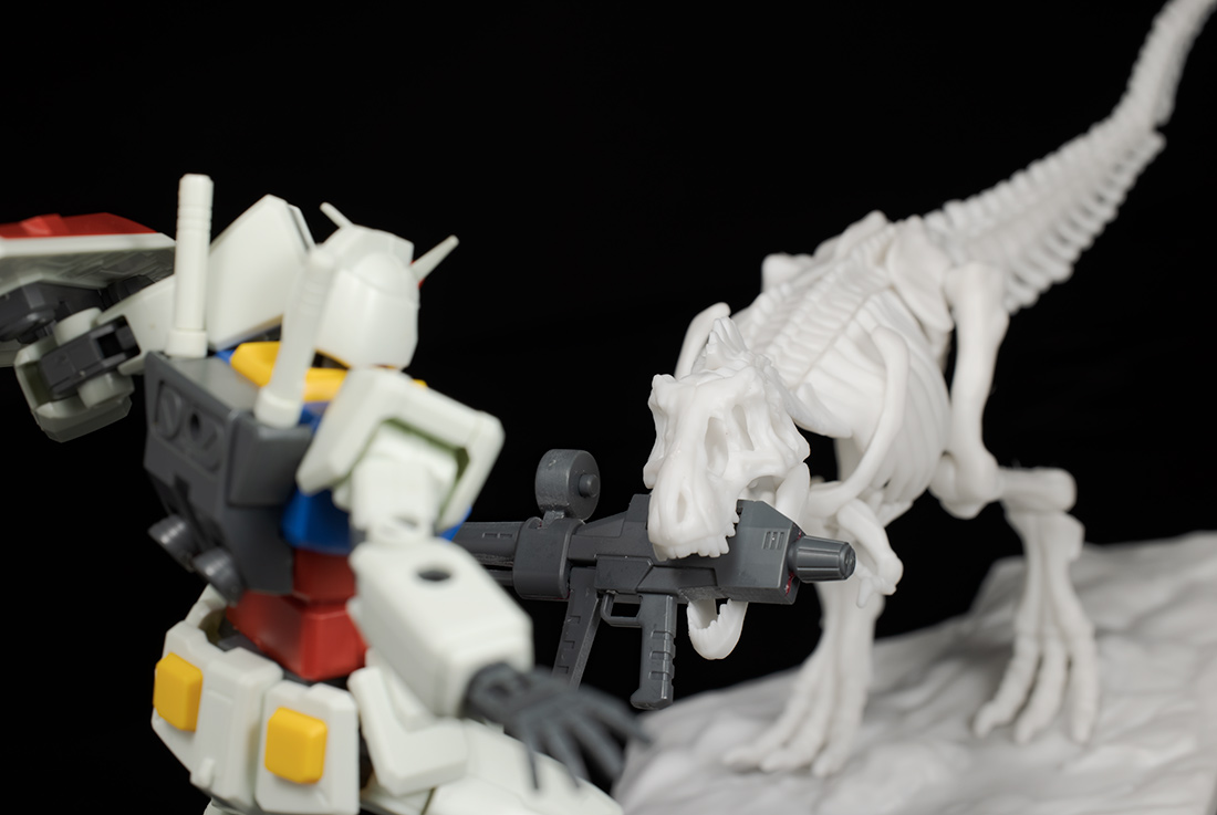 LIMEX ���� ��� ����� Ƽ�����罺 [11���԰��Ϸ�][4573102616593]