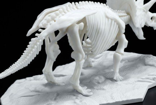 LIMEX ���� ��� ����� Ʈ���ɶ��齺 [11���԰��Ϸ�][4573102616609]