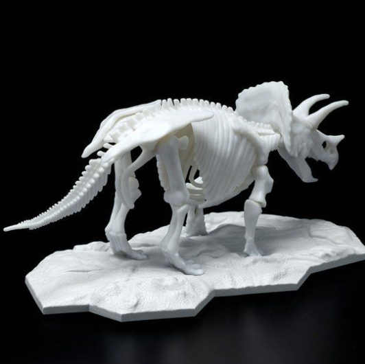 LIMEX ���� ��� ����� Ʈ���ɶ��齺 [11���԰��Ϸ�][4573102616609]