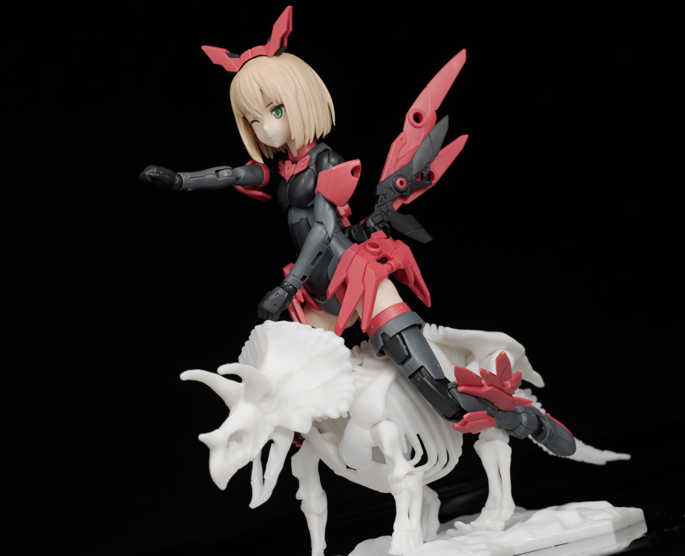 LIMEX ���� ��� ����� Ʈ���ɶ��齺 [11���԰��Ϸ�][4573102616609]