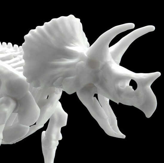 LIMEX ���� ��� ����� Ʈ���ɶ��齺 [11���԰��Ϸ�][4573102616609]