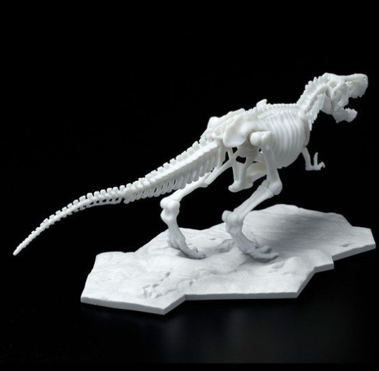 LIMEX ���� ��� ����� Ƽ�����罺 [11���԰��Ϸ�][4573102616593]