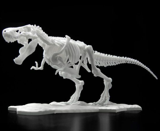 LIMEX ���� ��� ����� Ƽ�����罺 [11���԰��Ϸ�][4573102616593]