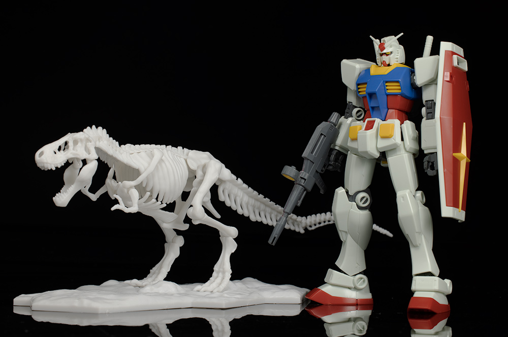 LIMEX ���� ��� ����� Ƽ�����罺 [11���԰��Ϸ�][4573102616593]