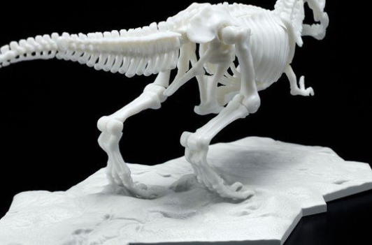 LIMEX ���� ��� ����� Ƽ�����罺 [11���԰��Ϸ�][4573102616593]