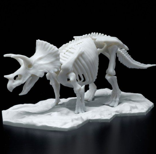 LIMEX ���� ��� ����� Ʈ���ɶ��齺 [11���԰��Ϸ�][4573102616609]