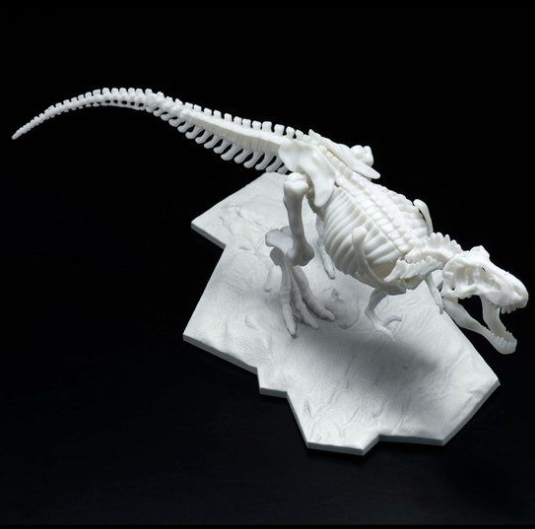 LIMEX ���� ��� ����� Ƽ�����罺 [11���԰��Ϸ�][4573102616593]