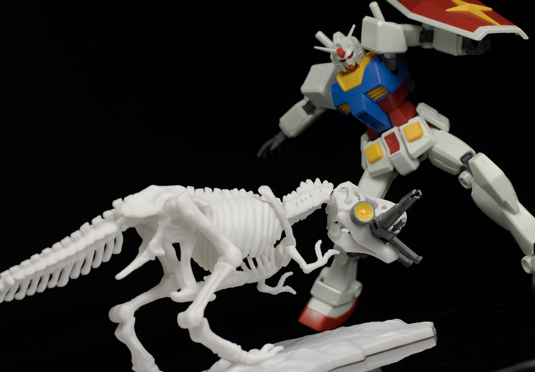 LIMEX ���� ��� ����� Ƽ�����罺 [11���԰��Ϸ�][4573102616593]