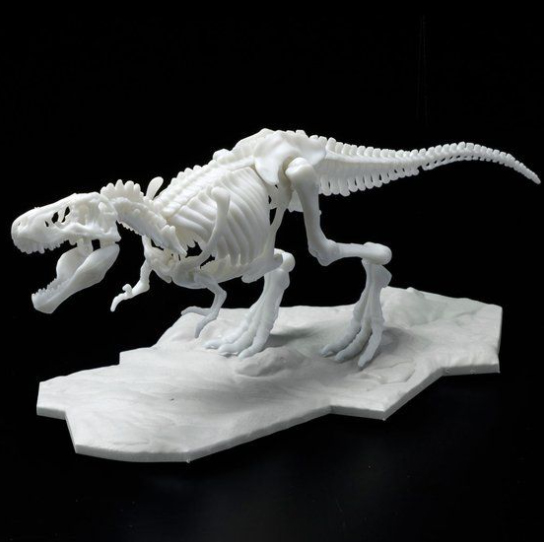 LIMEX ���� ��� ����� Ƽ�����罺 [11���԰��Ϸ�][4573102616593]