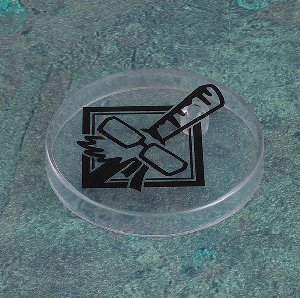 [�ٵ����̵�1743] �ּ�ȸ�� - ���� ��Ű [7���԰��Ϸ�] [4580590126947]